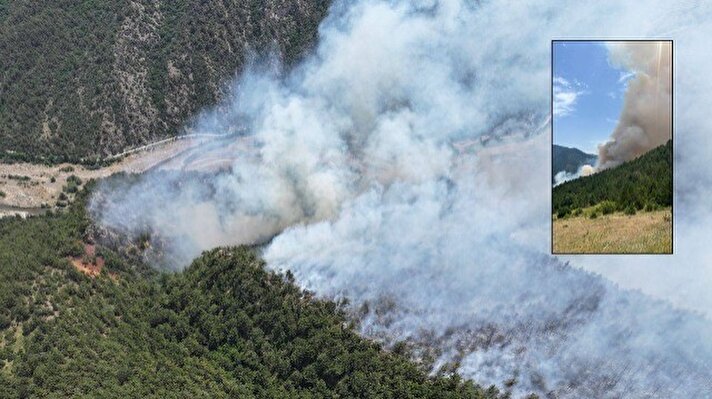 <p>Ovacık ilçesine bağlı Yaylacılar köyü ile Soğanlı köyü arasındaki ormanda saat 08.00 sıralarında yıldırım düşmesi sonucu yangın çıktı.&nbsp;</p>