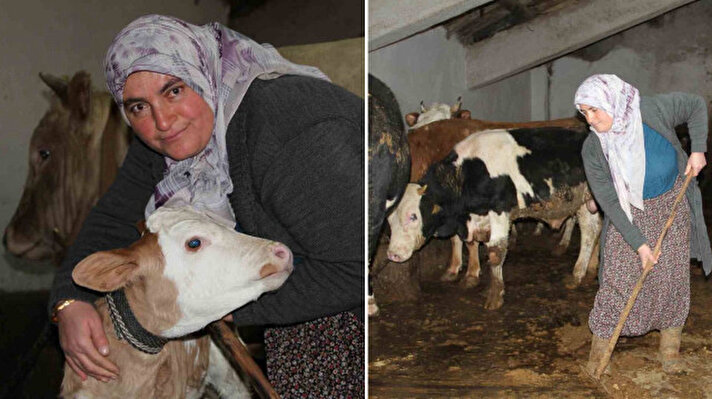 <p>Çankırı'nın Yukarıçavuş köyünde yaşayan 40 yaşındaki Satı Kara, hem 4 çocuğuna bakıyor hem de şehir merkezinde bir iş yerinde çalışan eşine hayvancılık yaparak destek sağlıyor.</p>