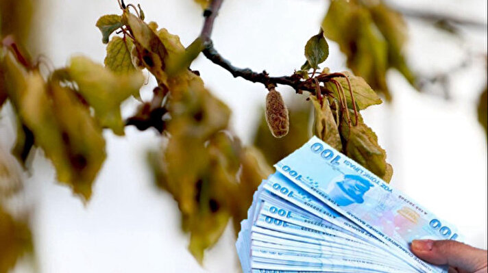 <p>Zirai don desteği</p>