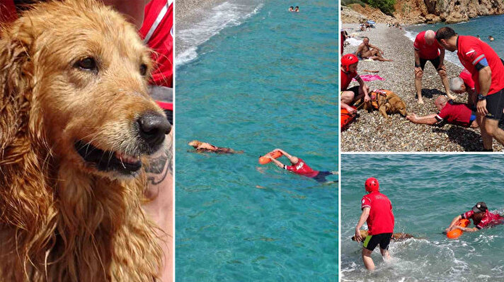 <p>Golden cinsi arama kurtarma köpeği Zeyna, Konyaaltı Sahilindeki eğitimlerinde su üstü arama kurtarma eğitimlerini başarıyla tamamladı. </p><p><br></p>