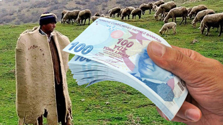 <p>Kurban bayramı yaklaştı, besiciler çobansız kaldı. Özellikle yurdun doğu kısmında ağır geçen kışın ardından besiciler, hayvanlarını doğaya salmaya hazırlanıyor fakat Van’da yayla sezonu başlarken 60 bin TL maaşla çalışacak çoban bulunamıyor. Aylık 100-120 bin TL talep eden çobanlara, besiciler ‘Biz ayda en fazla 60 bin TL verebiliriz’ diyerek isyan etti. İşte detaylar…</p>