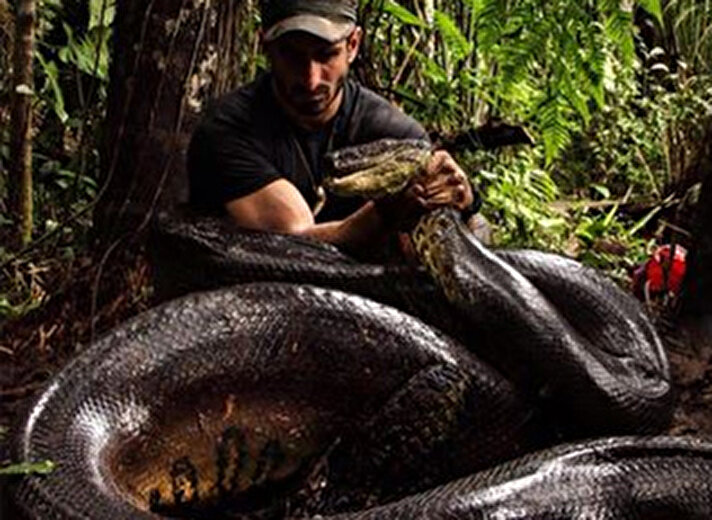 Doğa bilimci Paul Rosolie, Discovery Channel’ın “Eaten Alive” isimli programı için kendi ürettiği “yılan geçirmez” bir kostümü giyerek dev bir anakondanın kendisini yutmasına izin verdi.