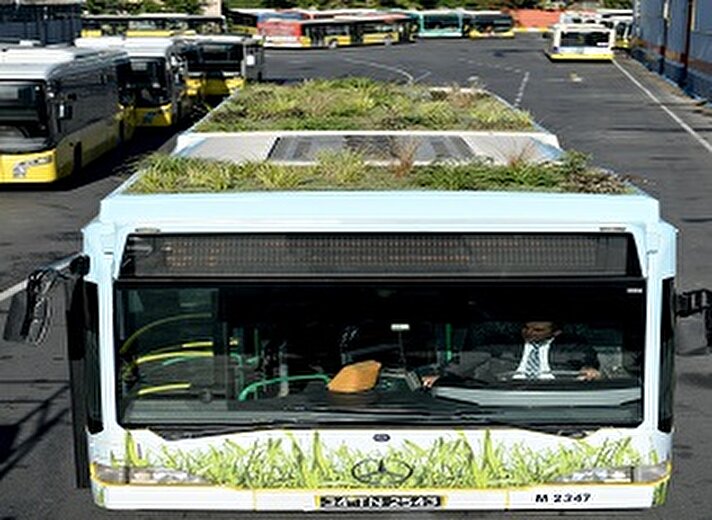 حافلات "نباتية" في مدينة اسطنبول