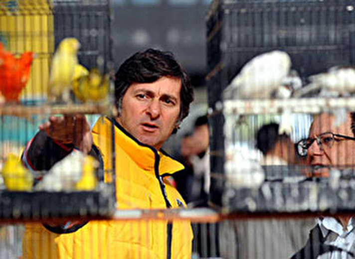 Antalya’da düzenlenen ''ırk ve renk kuşları yarışması''na 50 ilden yaklaşık bin 500 kanarya katıldı. 
