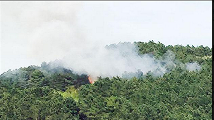 Beykoz Anadoluhisarı'nda bulunan ormanlık alanda saat 17.00 sıralarında yangın çıktı.​