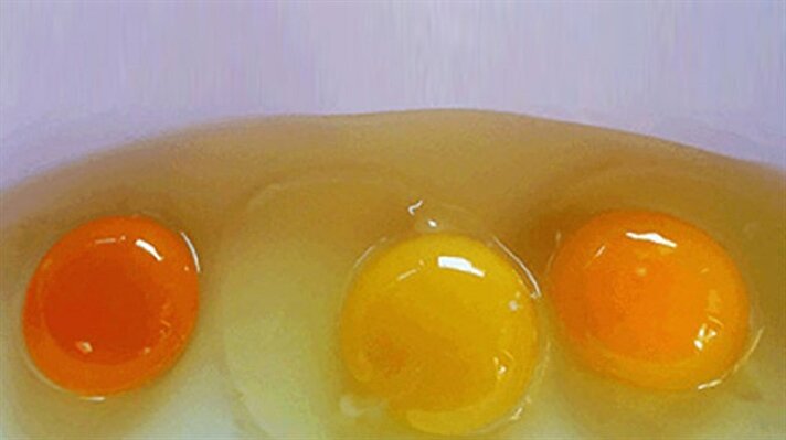 Yumurtayı kırdığınızda her yumurtanın sarısının aynı olmadığını fark etmişsinizdir. Peki, bu renk farklılıkları neyin göstergesidir biliyor musunuz?