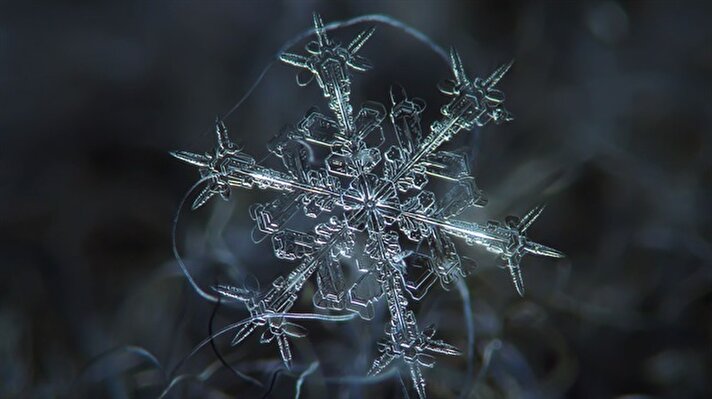  Rus fotoğrafçı Alexey Kljatov, kendi yaptığı düzenekle çektiği makro fotoğraf serisiyle, kar kristallerinin zarif yapılarını yakalıyor. 