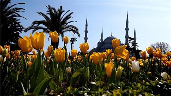 Tulip season returns to Istanbul