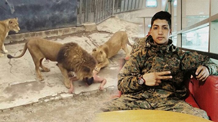 Geçtiğimiz hafta Şili’de bir genç kendini aslanlara yem ederek intihar teşebbüsünde bulunmuştu. 