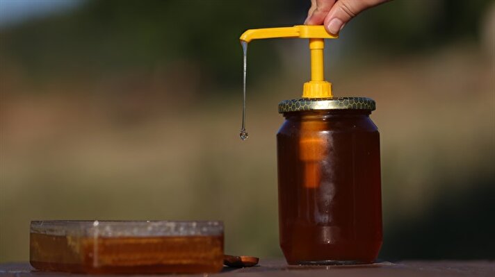 Bursa'da bir arıcının üretimini yaptığı arı zehri, gramı 500 liradan alıcı buluyor.