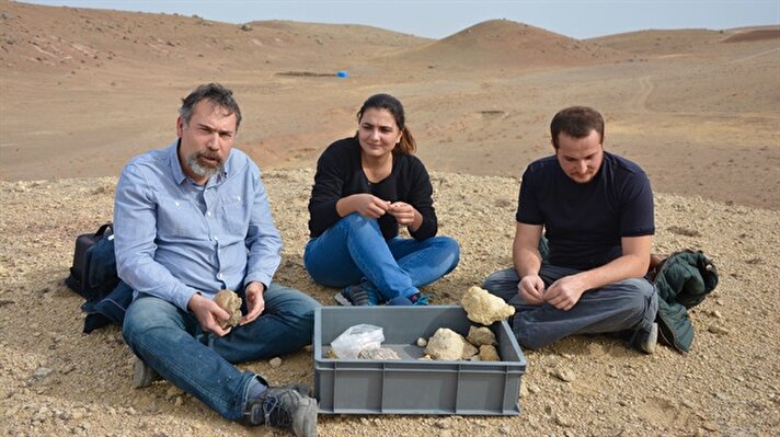 Kırşehir-Yozgat yüzey araştırmaları yaptıkları sırada Mucur ilçesine bağlı Karakuyu köyünde deniz fosilleri tespit edildi.