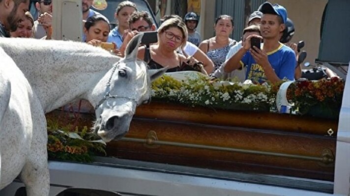 Wagner Figueiredo isimli binici trafik kazasında hayatını kaybedince ailesi atı Cowboy’u da cenaze törenine getirmeye karar verdi.
