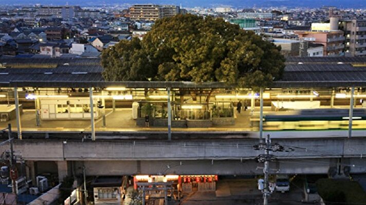 Japonya'nın Osaka şehrinde bir tren istasyonunu diğerlerinden ayıran çok önemli bir şey bulunuyor. Kayashima İstasyonu 700 yaşındaki bir ağacın etrafına inşa edilmiş.