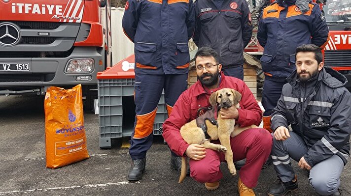 Beykoz'da 70 metre derinliğindeki kuyuya düşen ve 10 gün süren çalışmalar sonucunda kurtarılan kuyu köpeğin yeni yuvası Beykoz itfaiye grubu oldu. 