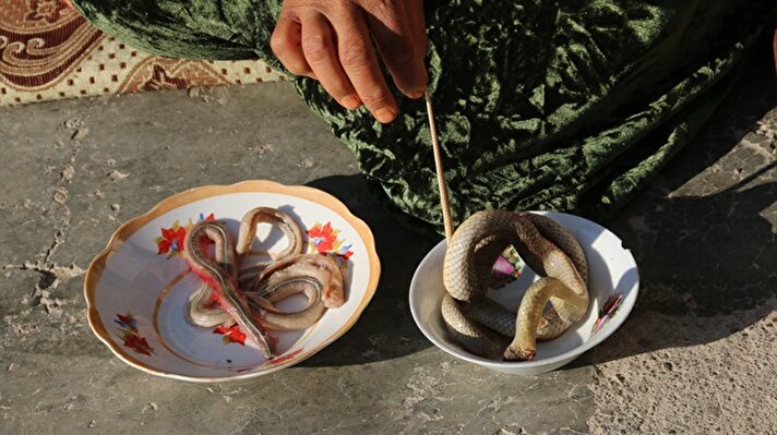 Irak'ın Kerkük kentinde rahim kanseri teşhisi konulan Sevinç Seyfettin, maddi sıkıntıdan dolayı çareyi zehirli yılan eti yemekte buldu.