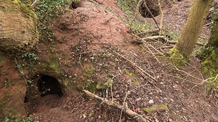 İngiltere Shropshire'dakİ tavşan deliği sanılan çukur, Caynton Mağaraları'na uzanan yol çıktı. 