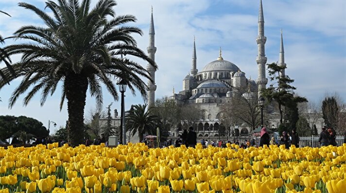 It's tulip season in Istanbul. The city's parks prepare to welcome visitors and tulip enthusiasts from around the world, who come to revel in the beauty of these colorful flowers. Tulips are native to Turkey, they blossom to full bloom during the 2nd half of April every year!​