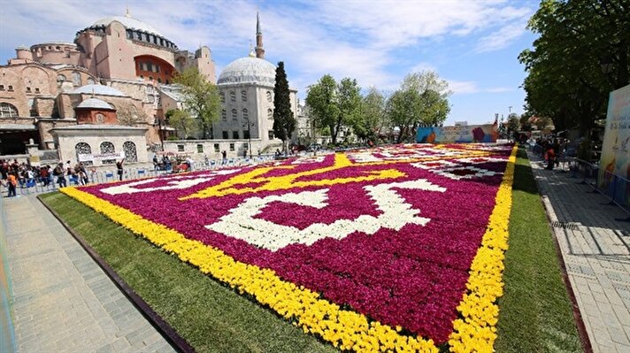 The world's biggest tulip carpet on display at the historic Sultanahmet square in Istanbul