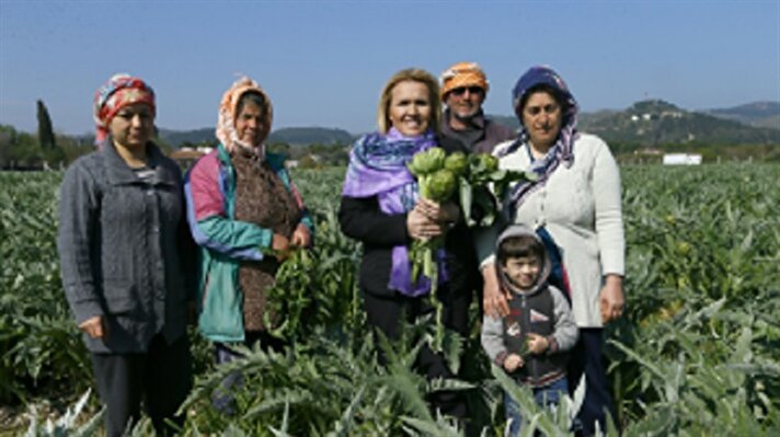 بلدية تركية تعتزم التعريف بنبتة "الخرشوف" في مهرجان دولي
