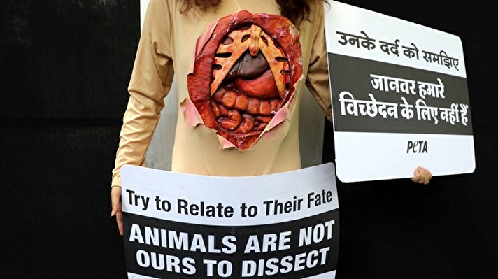 Hindistan'da bir PETA aktivisti hayvanlar üzerinde yapılan araştırmaları protesto etmek için ilginç bir yöntem seçti.