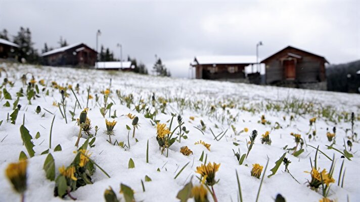 Trabzon'da yayla turizminin önemli mekanlarından Kayabaşı Yaylası'nda kar yağışı etkili oldu.