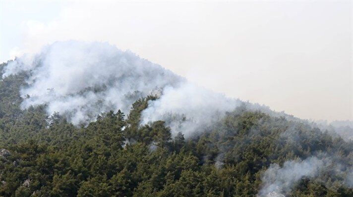 İzmir'in Menderes ilçesinde dün makilikte başladıktan sonra rüzgarın etkisiyle ormanlık alana yayılan yangın geniş bir alanda etkili oluyor. 