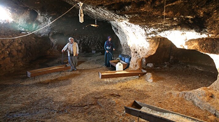 Şanlıurfa'da besicilikle uğraşan bir aile yazın serin, kışın da sıcak olduğu için mağarada hayatlarını sürdürüyor.