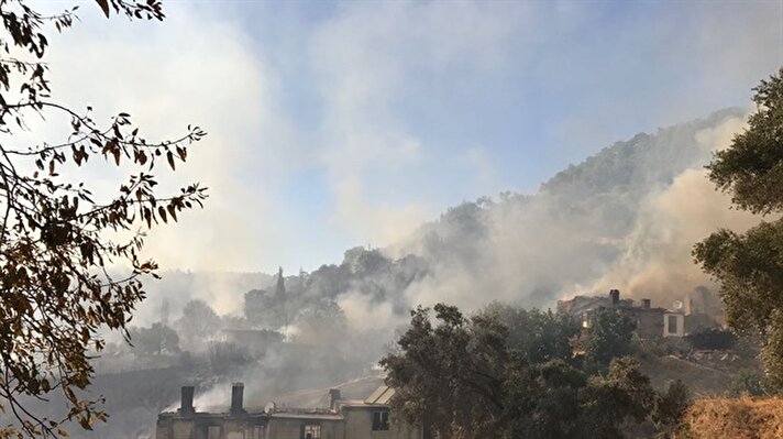 Akbük Mahallesi'nde ormanlık alanda henüz belirlenemeyen nedenle yangın çıktı.