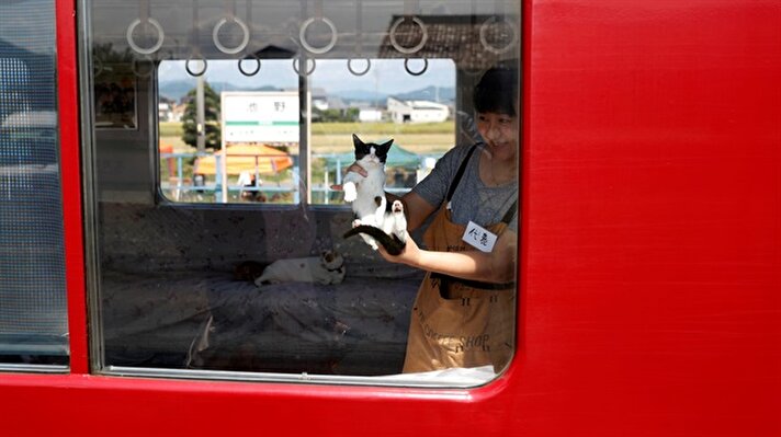 A Japanese civic group teamed up with a railway operator on Sunday to let some 30 cats roam on a local train at an event, hoping it will raise awareness of the culling of stray cats. 