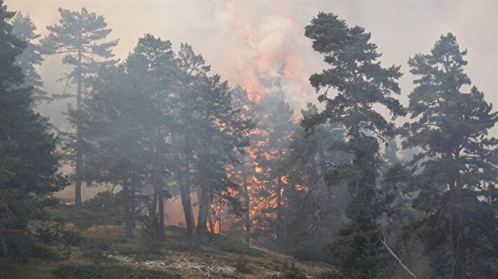  İki ilde de büyük bir alanda etkili olan orman yangınına çevre illerden itfaiye ekipleri, uçaklar ve helikopterler müdahale ediyor.