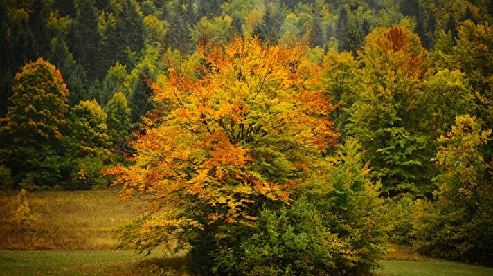 Autumn in Bosnia and Herzegovina
