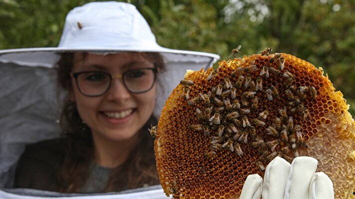 Customers harvest honey on their own in eastern Turkey farm