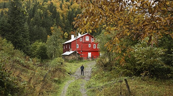 A man walks at a forest displaying autumnal colors during autumn in Turkey's Kastamonu