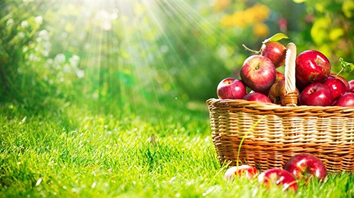 Her gün elma yemek neredeyse vücudunuzu 5 kanser türüne yakalanmaya karşı koruyor ve kanser riskini ortadan kaldırmanıza yardım ediyor. 