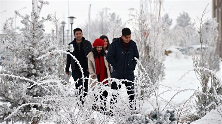Doğu Anadolu Bölgesi'nde Ağrı'nın Eleşkirt ilçesinde, kar yağışının ardından etkili olan dondurucu soğuklar hayatı olumsuz etkiledi. 