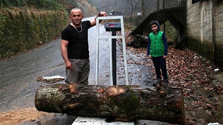 "رامبو" التركي يحمل جذع شجرة وزنه 283 كغ