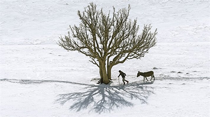 Heavy snow in rural of Turkey's Van