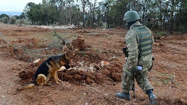 Turkish Armed Forces clear Syria's Mt. Bursaya of explosives