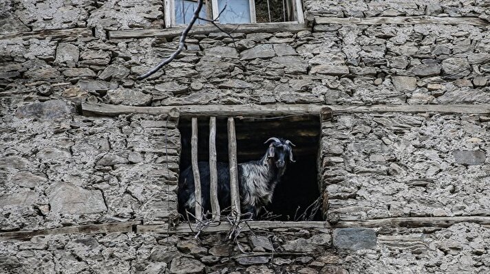 Magical stone houses of Turkey's Bitlis