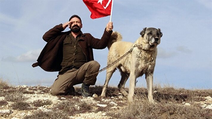 İstanbul Emniyet Müdürlüğü tarafından toplumsal olaylara müdahale için kullanılan ve daha sonra da sınır karakollarında da korumak için kullanılması için çalışma başlatılan Sivas’ın dünyaca ünlü Kangal köpekleri terörle mücadele etmeye hazırlanıyor. 