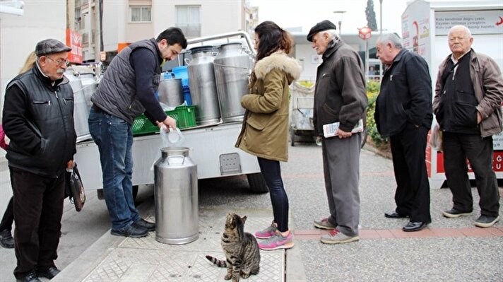İzmir Karşıyaka'da yaşayan vatandaşlara her gün sabah süt dağıtımı yapan sütçü Mustafa Aksakal'ın, müşterilerinin yanı sıra yolunu gözleyenlerden biri de bir sokak kedisi. Her sabah vatandaşlardan önce sıraya girerek, sütçünün gelmesini bekleyen sevimli sokak kedisi, görenleri hem güldürüyor hem de şaşırtıyor. 