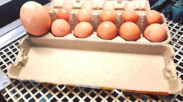 Avustralya'da yaşayan Scott Stockman, aldığı yumurtanın içine karışmış olan devasa yumurtayı görünce şaşkına döndü.
