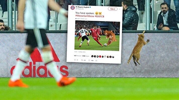 Beşiktaş-Bayern Münih karşılaşmasının 50. dakikasında sahaya giren bir kedi nedeniyle oyun yaklaşık 1 dakika durdu.
