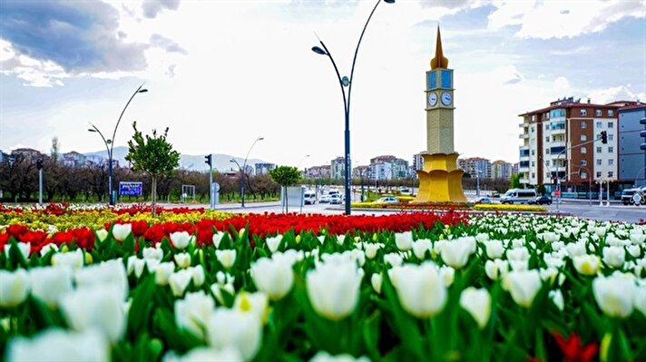 Over 500,000 tulips blossom in Turkey’s Malatya 
