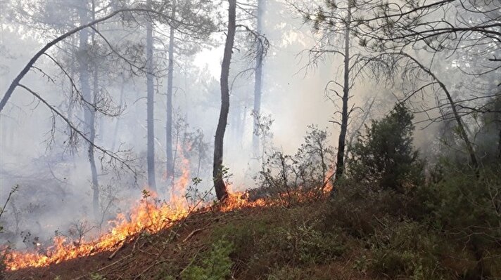 Edinilen bilgiye göre, Bursa'nın Orhaneli ilçesine Çöreler Mahallesinde kızılçam ormanından dumanların yükseldiğini gören vatandaşlar, Orman İşletme Müdürlüğü ekiplerine haber verdi. 