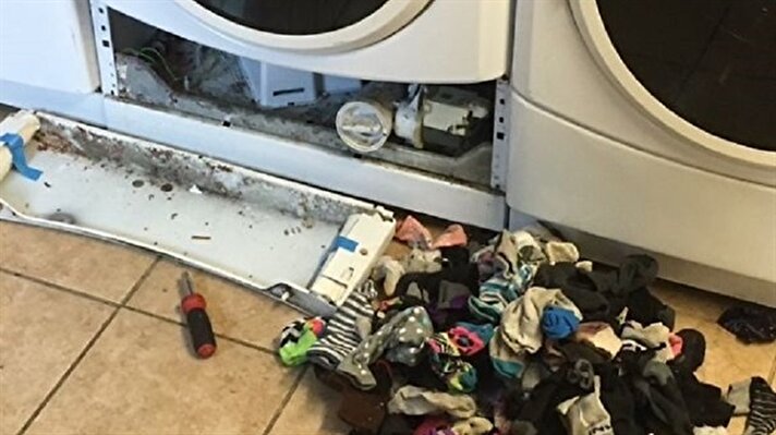 Cathy'nin kocası tamirciler tarafından kandırılmak istemeyince arızalanan çamaşır makinesin içi açtı. Gördüğü manzara karşısında şoke oldu. 