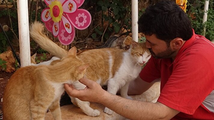 'Cat man' Jaleel of Syria's Aleppo