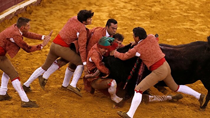 Members of Coimbra and Monsaraz forcados perform during a bullfight in Lisbon