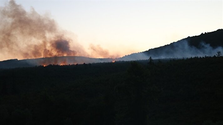Olay, 04.30 saatlerinde Kartal Aydos Ormanları'nda meydana geldi. Edinilen bilgiye göre Aydos Ormanların'da henüz belirlenemeyen nedenle yangın çıktı. 