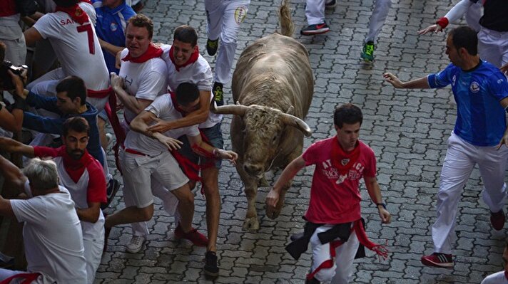 Fifth running of the bulls of the San Fermin festival in Pamplona 